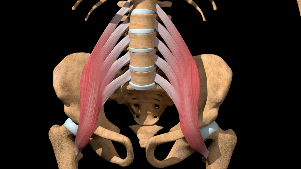 Signs Your Psoas is Tight